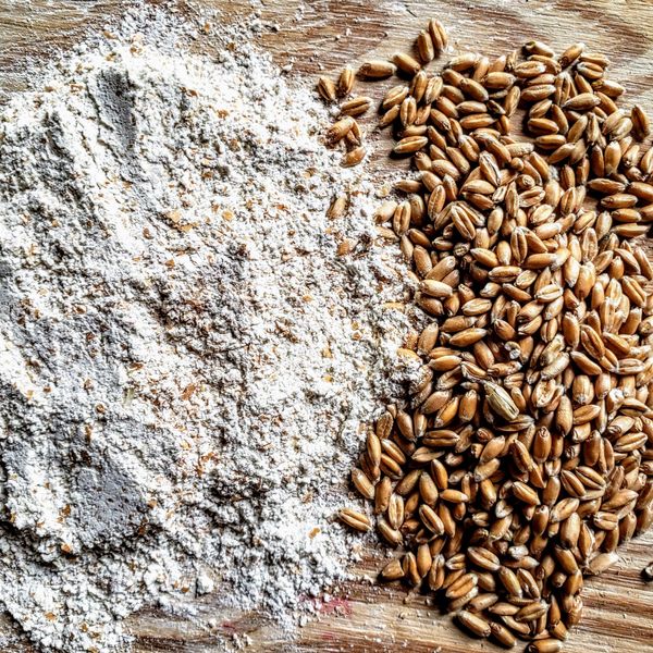 Organic Spelt Flour from 독일 supplied by Strahm Mill AG - Organic 스펠트밀가루