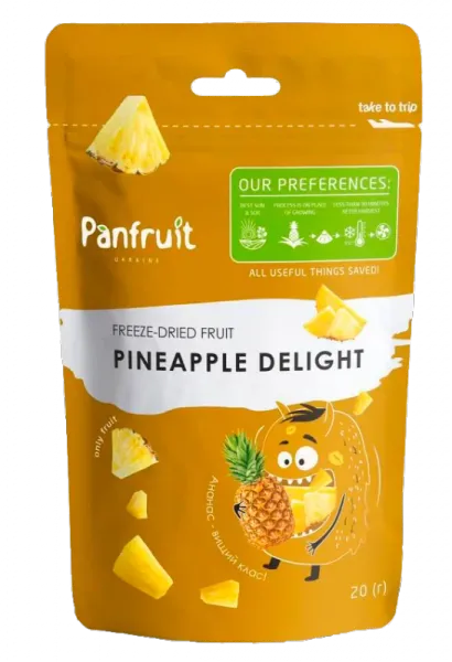 Freeze Dried pineapple from 우크라이나 supplied by Panfruit Ukraine - Sliced 말린 파인애플