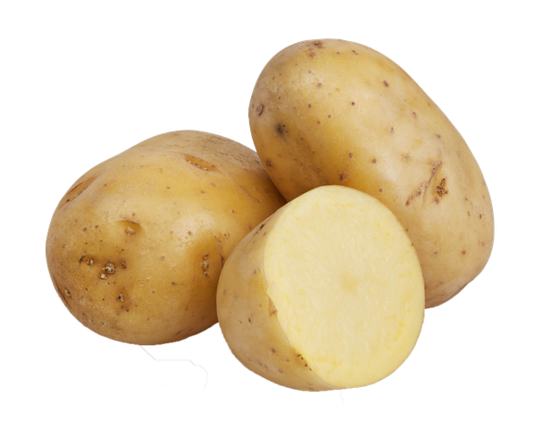 Potato from 아르헨티나 supplied by Ezemax Papas S.A. - Farmed 신선 일반 감자