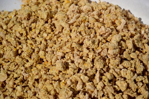 Extruded Corn from 체코 supplied by 1 Zemedelska Chorusice - Medium 옥수수글루텐피드