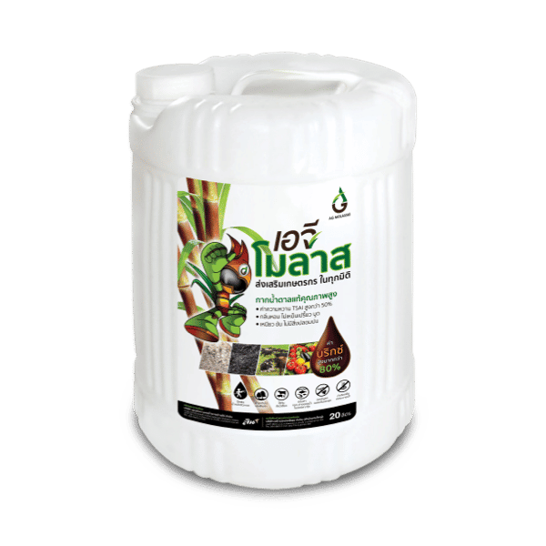 Molasses from 태국 supplied by Thai Rung Ruang Industry - Sugar Cane 당밀