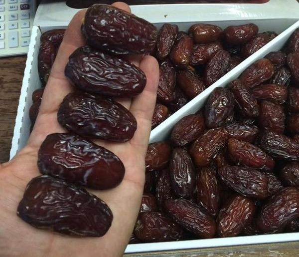 Date from 이집트 supplied by Egypt Garden - Medjool (=Medjoul=Majhool) 신선 대추야자
