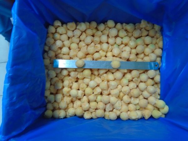 IQF Cantaloupe Melon / Honeydew Melon from 인도 supplied by IQF Foods Private Limited - Balls 신선 멜론(머스크 멜론)