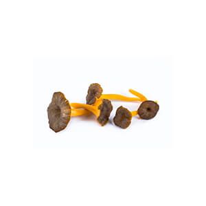 Chanterelle Mushroom from Italy supplied by Marilena Funghi E Tartufi - Fresh (=Chilled) Chanterelle Mushroom