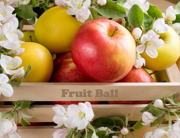 Apple from Ukraine supplied by Sady Donbassa LLC - Red Fresh Apple