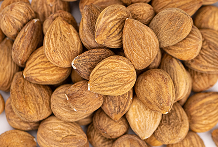 Apricot Kernels from 튀르키예 supplied by Yaban Food - Kernel (Nut) 살구 가공품
