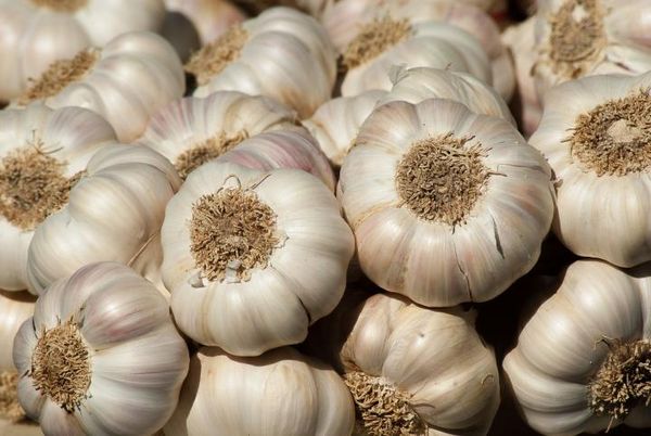 Garlic from Nigeria supplied by Isadol Global Services - Agricultural Waste