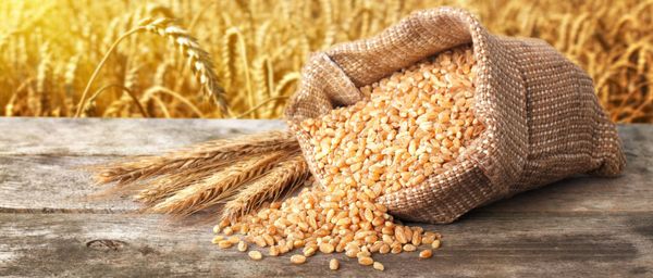 Cracked Wheat from United States supplied by P&H MILLING GROUP - Cracked Wheat