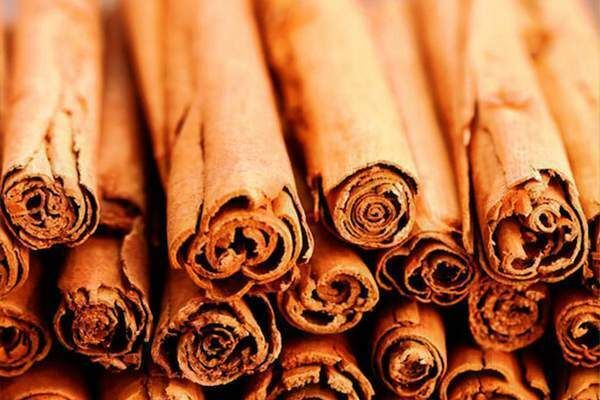 Cinnamon from Sri Lanka supplied by TILMA LANKA (PVT) LTD. - Dried Cinnamon