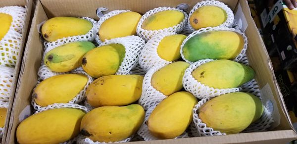 Fresh Mango from Pakistan supplied by Roomi Foods Pvt Ltd. - Carton Box (=Cardboard Box) Fresh Mango