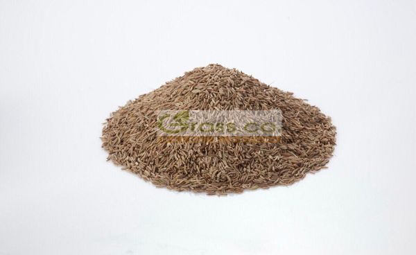 Caraway Seed from 이집트 supplied by Grass Co. Herbs and Spices - Conventional 캐러웨이 씨
