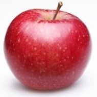 Organic Apple from Netherlands supplied by BioFruit - Alkmene (=Early Windsor) Fresh Apple