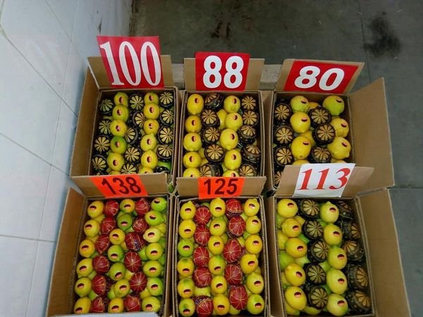 Lemon from Belgium supplied by MEDLY BVBA - Sweet Lime Fresh Lime