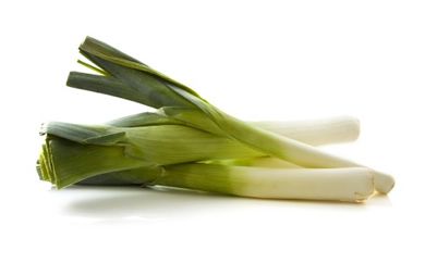 Leek from Italy supplied by Consorzio Agribologna - Fresh (=Chilled) Leek