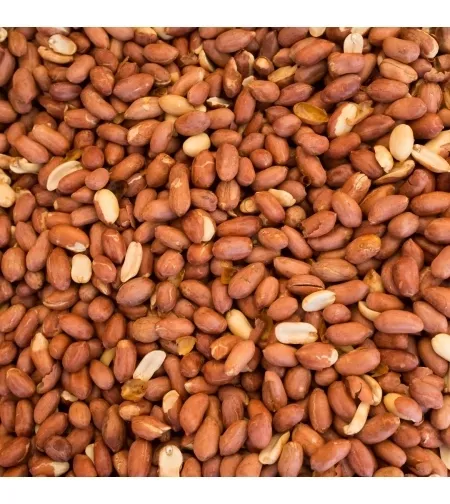 Roasted Peanut Kernels from 이스라엘 supplied by Kol Toov - Shelled (=Kernel) 땅콩 알맹이