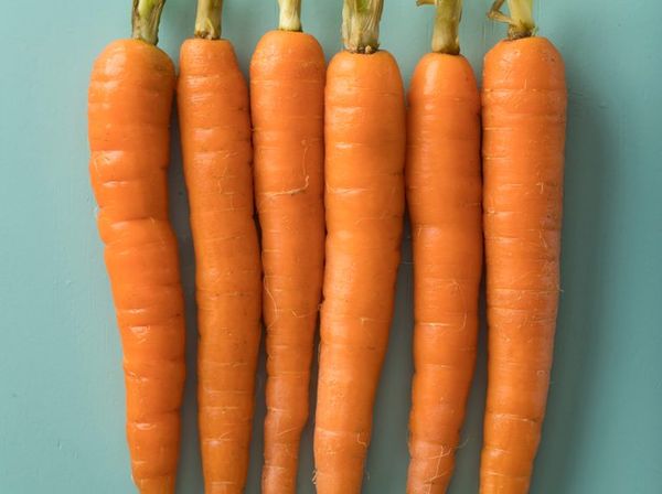 Carrots from Morocco supplied by Fresh Box - Orange Fresh Carrot
