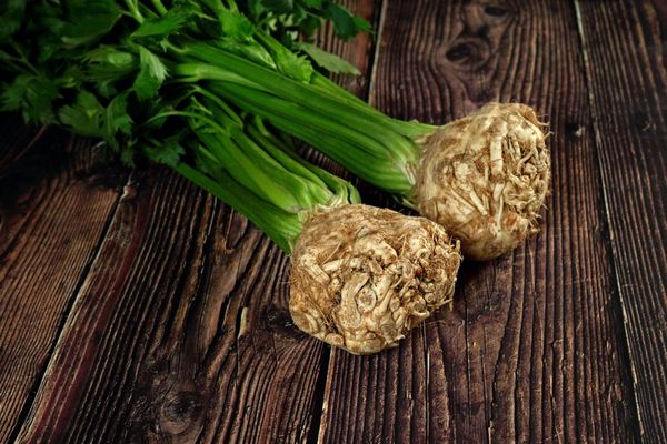 Celeriac from 벨기에 supplied by Coosemans Import Export - Green 셀러리악