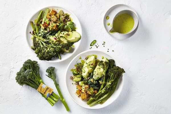 Broccolini from Australia supplied by Perfection Fresh - Rapini (=Broccoli Rabe=Broccoli Raab) Fresh Headed Broccoli