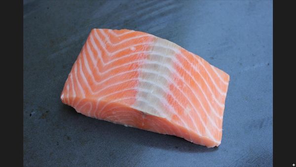 Atlantic Salmon from Chile supplied by Comercial Nahuelbuta Ltda. - Skinless (=Without Skin) Salmon
