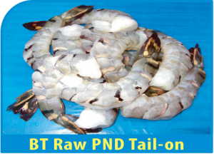 Raw Tail on Shrimp from Bangladesh supplied by LOCKPUR FISH PROCESSING CO. LTD - Tail-on Fresh Common Shrimp & Prawn