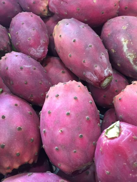 Prickly Pear from Portugal supplied by Frusantos - Frutos Seleccionados, S.A. - Red Prickly Pear