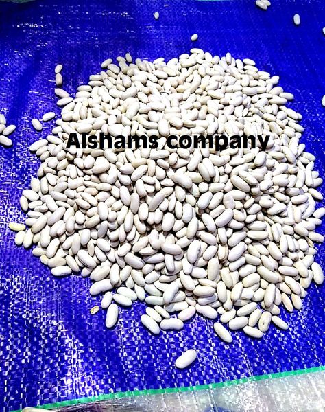 white beans with high quality from Egypt supplied by Al Shams company for general import and export - As per customer's request White Beans