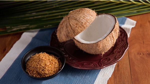 Toasted Desiccated Coconut from Philippines supplied by Peter Paul Philippine Corporation - Macaroon (Fine) Other Fresh Coconut
