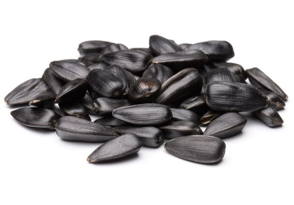 Sunflower Seed from 러시아 supplied by LLC Agropetro - As per customer's request 해바라기 씨