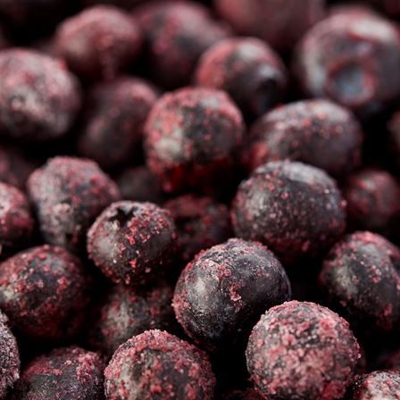 Frozen Blueberry from 캐나다 supplied by CROP'S N.V. - Blue 신선 블루베리