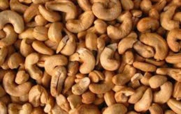 Raw Cashew nuts from 나이지리아 supplied by Codvel Nigeria Limited - Whole 생 캐슈너트