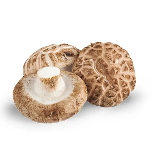 SHIITAKE from Italy supplied by Appennino Food Group S.p.a - Whole Shiitake Mushroom