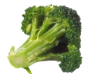 Broccoli from Portugal supplied by Alcides dos Santos Antunes, Lda - Green Fresh Headed Broccoli