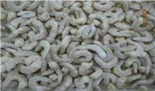 Frozen Shrimp from 중국 supplied by Changli County Yongjun Freezing Food Co., Ltd - Raw Peeled & Deveined (=RPD) 냉동 새우