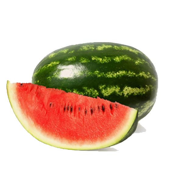 Watermelon from Iran supplied by Vitarad Group Co. - Whole Fresh Watermelon
