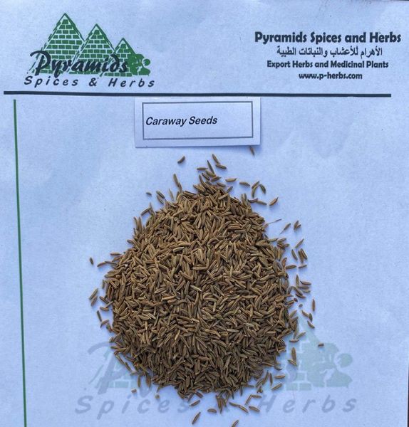 Caraway Seeds from 이집트 supplied by Pyramids Spices And Herbs - Brown 캐러웨이 씨