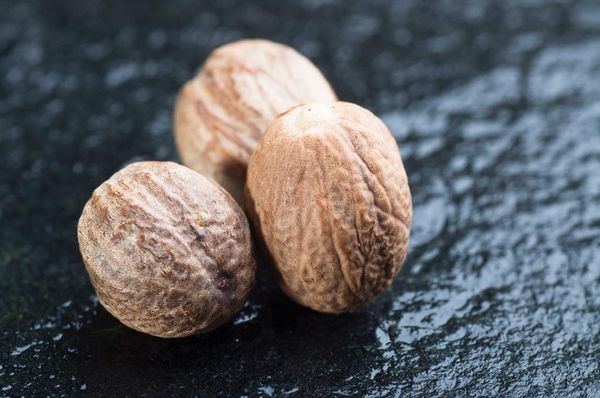 Nutmeg from 인도 supplied by Gryphonyx Tradelink - As per customer's request 통육두구