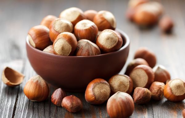 Hazelnut from 튀르키예 supplied by Kaf Gida - 갈색 생 헤이즐넛