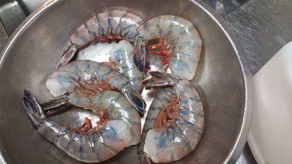Fresh Shrimp from 멕시코 supplied by Promarmex - HLSO (Headless Shell On) 냉동 새우