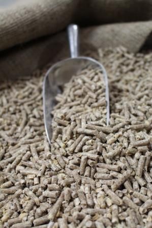 Alfafa from United States supplied by King-Brand - For Feed Alfalfa