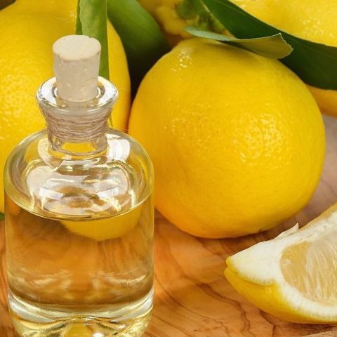 Lemon Oil from 이탈리아 supplied by AGRUMARIA CORLEONE S.P.A. - RBD (=Refined, Bleached, and Deodorized) 레몬 오일
