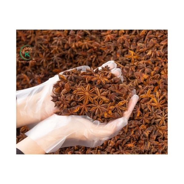 Vietnam Star Anise Wholeform from Vietnam supplied by K Agriculture - Autumn Star Anise Star Anise