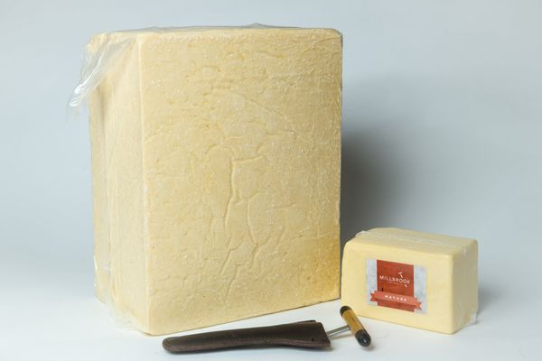 Fresh Cheddar Cheese in Bulk from 영국 supplied by Millbrook Dairy Company Limited - Bar 체다 치즈