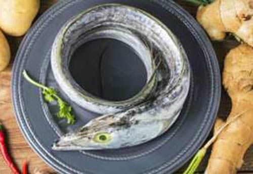 Ribbon Fish from 인도 supplied by ABM Marine Product - Whole (=In The Round) 냉동 산갈치