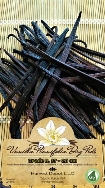 Dry Indonesian Vanilla Planifolia whole Pods - Grade B, size 10-20 cm from Indonesia supplied by Harvest Depot L.L.C - High Quality Vanilla