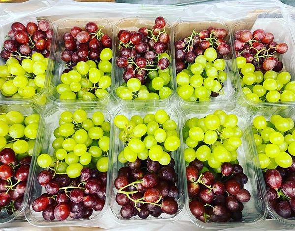 Grape from Netherlands supplied by Lukassen AGF - Whole Fresh Grape