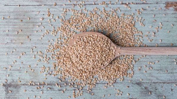 Sesame Seed from 파키스탄 supplied by Sindh Agro Industries - Whole 참깨