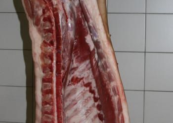 Fresh Pork from 벨기에 supplied by Ryckaert M NV - 엉덩이(Hip) 신선 돼지고기 햄 및 목살