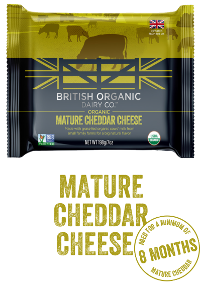 Organic Mature Cheddar Cheese from 영국 supplied by OMSCo Ltd - Bar 체다 치즈