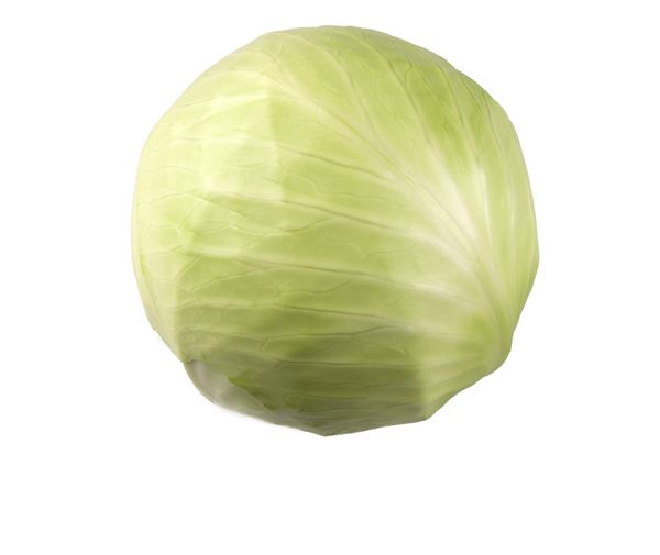 Fresh Cabbage from 독일 supplied by Maren Beckmann GmbH - 적양배추 신선 양배추