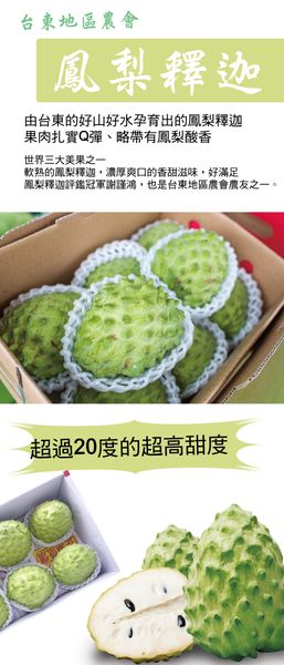 Atemoya / custard apple from Taiwan supplied by Tama Shokunin - High Quality Fresh Custard Apple